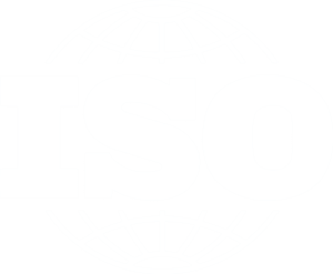 iso-300x247